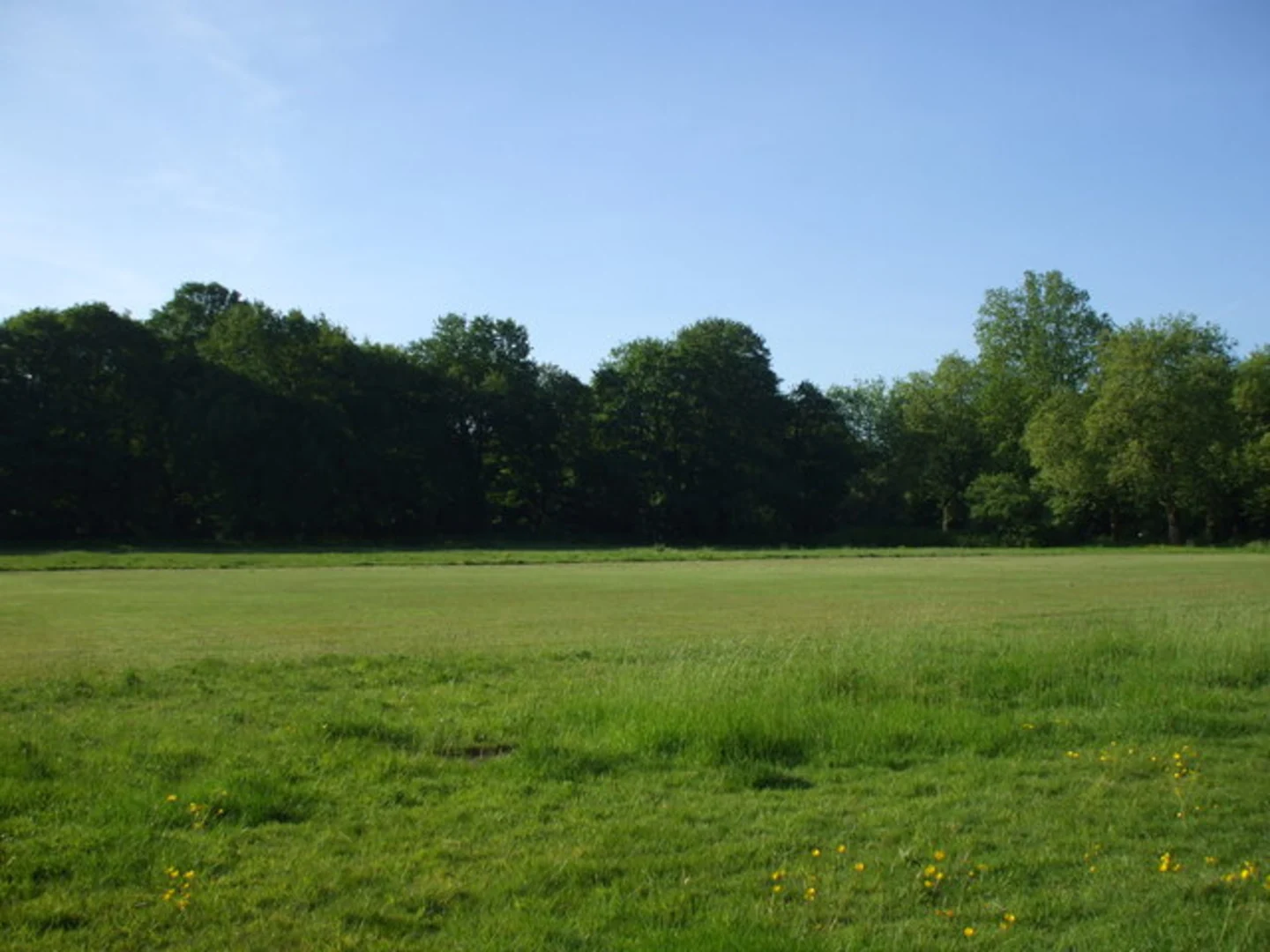 An image depicting the trail Streatham Common to Wimbledon Park Walk and its surrounding area.