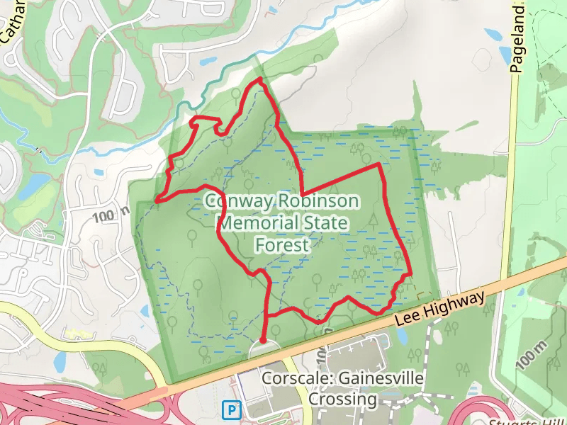 Conway Robinson Memorial State Forest Loop