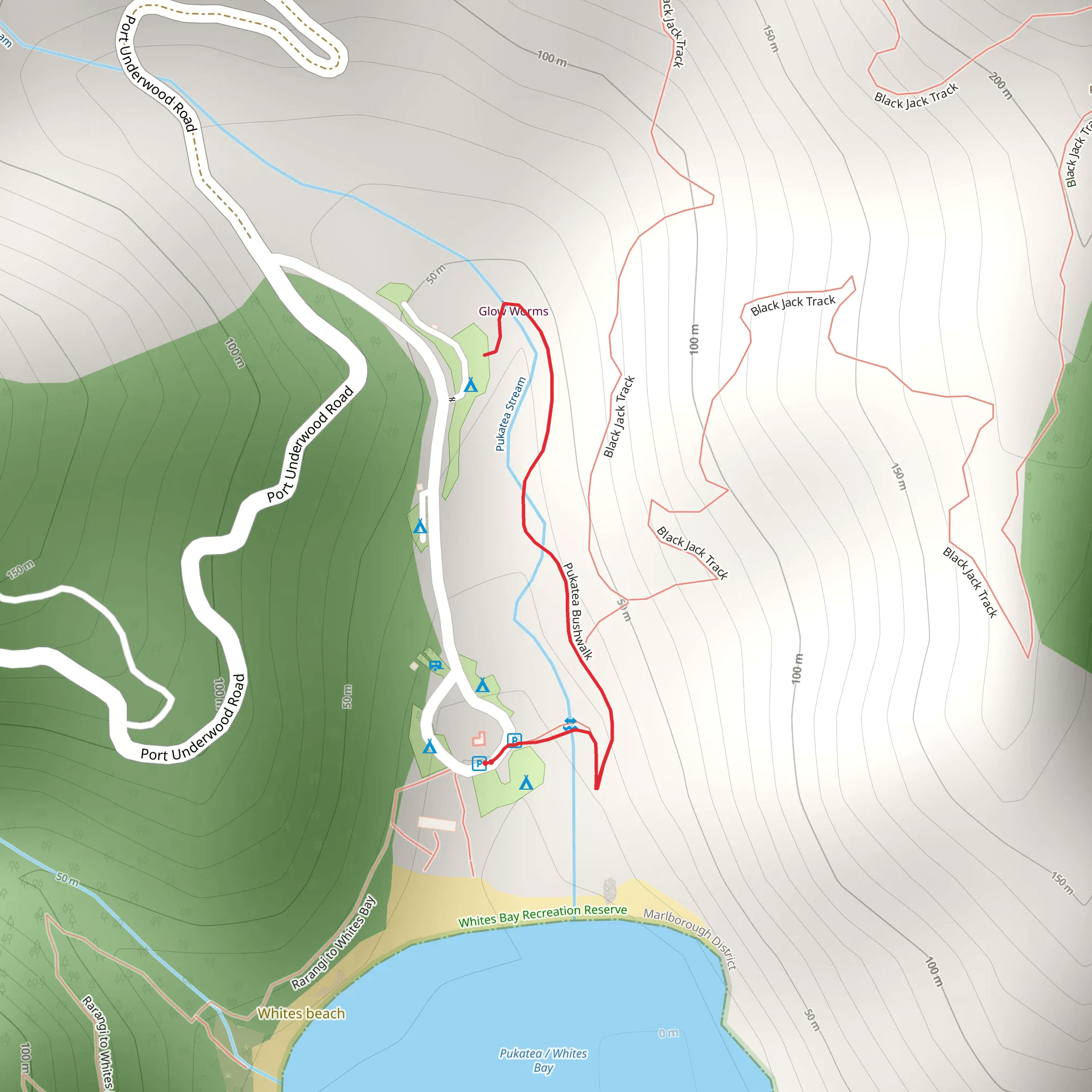 Pukatea Bushwalk mobile static map