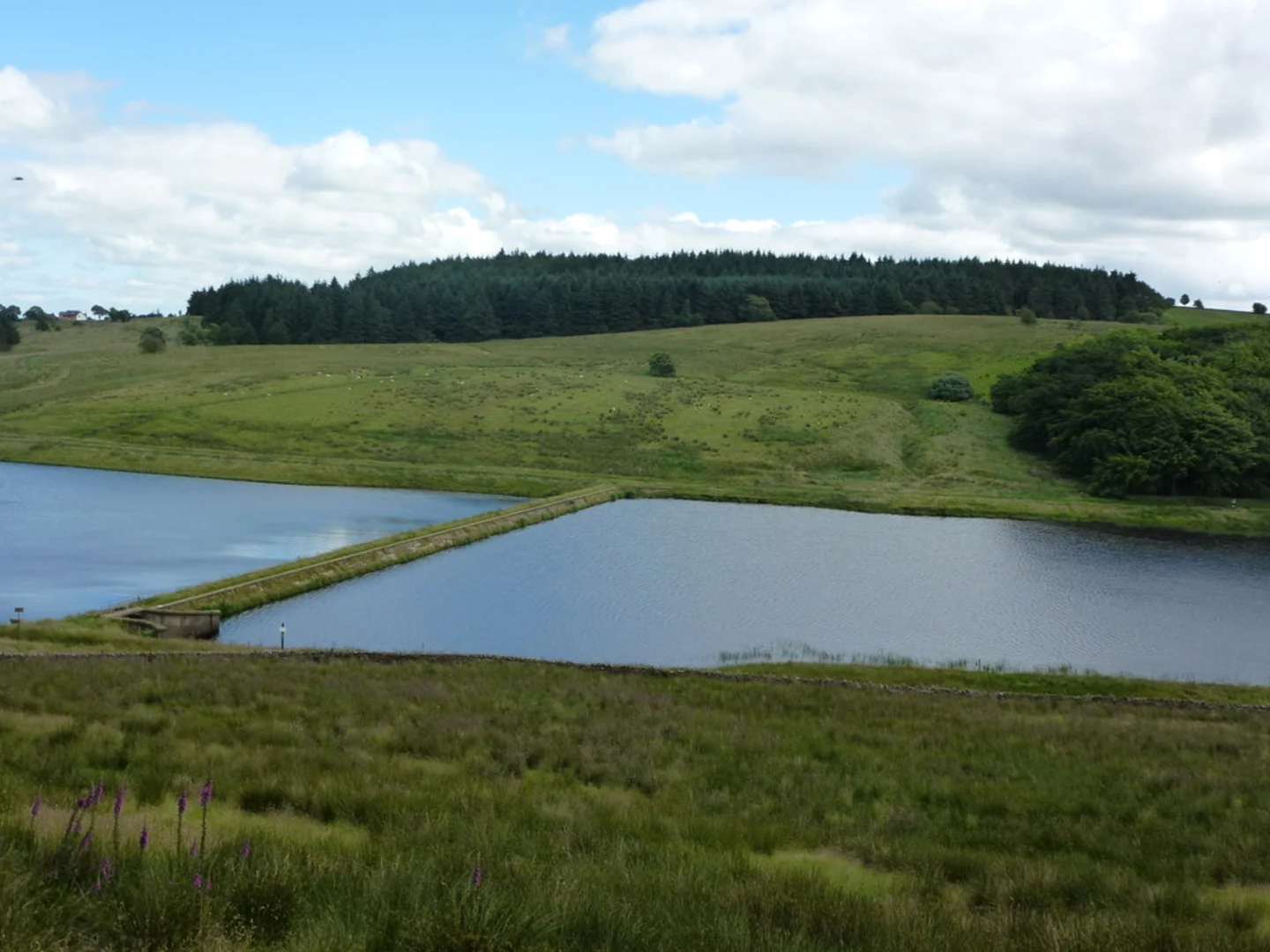 An image depicting the trail Dean Clough Reservoir and Memorial Park Loop and its surrounding area.
