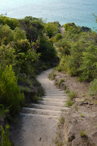 Kohi Point Walkway