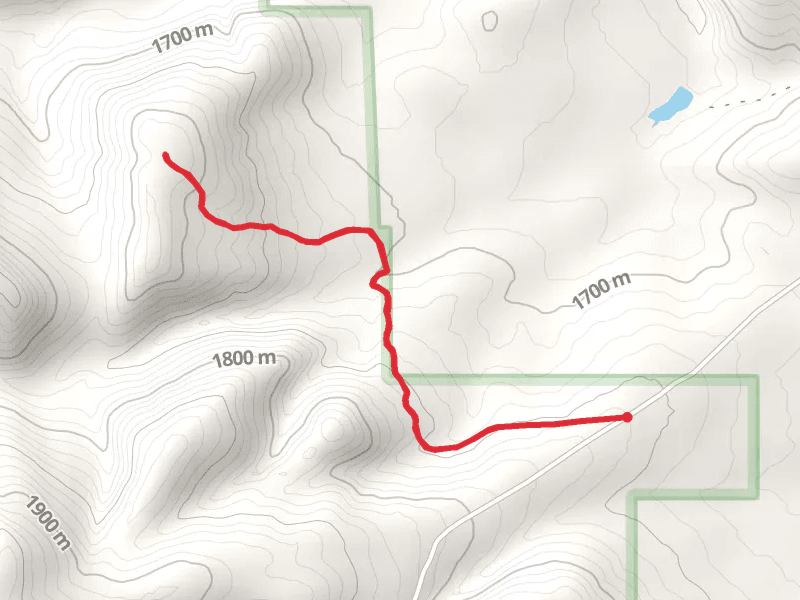 Fries Ridge Trail