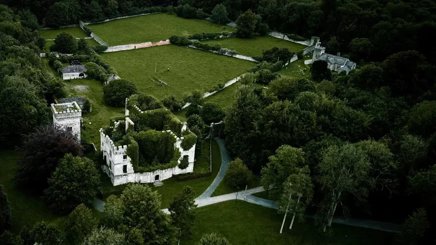 An image depicting the trail Donadea Forest Park and its surrounding area.