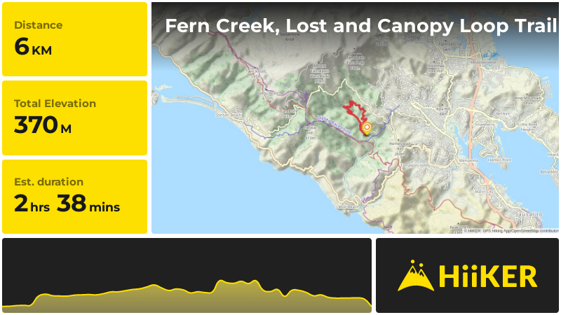 Fern Creek, Lost and Canopy Loop Trail | Marin County | California