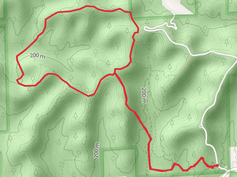 Horse Loop Trail