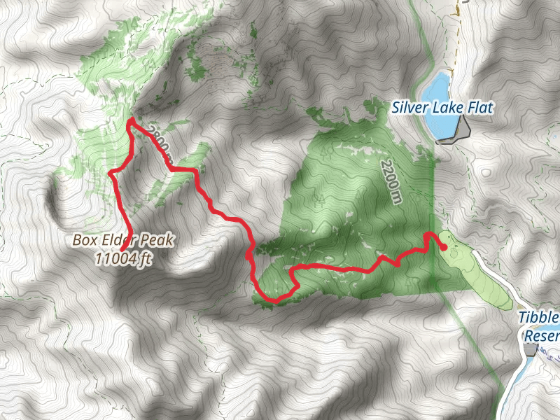 Box Elder Trail and White Canyon Trail