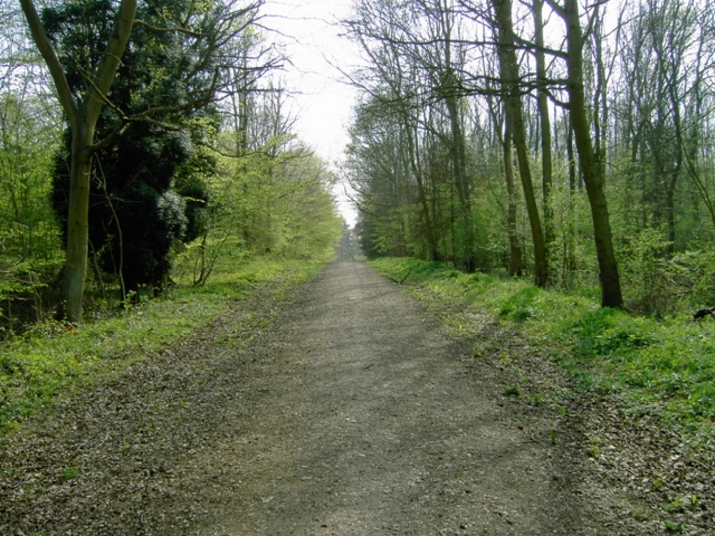 An image depicting the trail Clophill and Haynes Loop and its surrounding area.