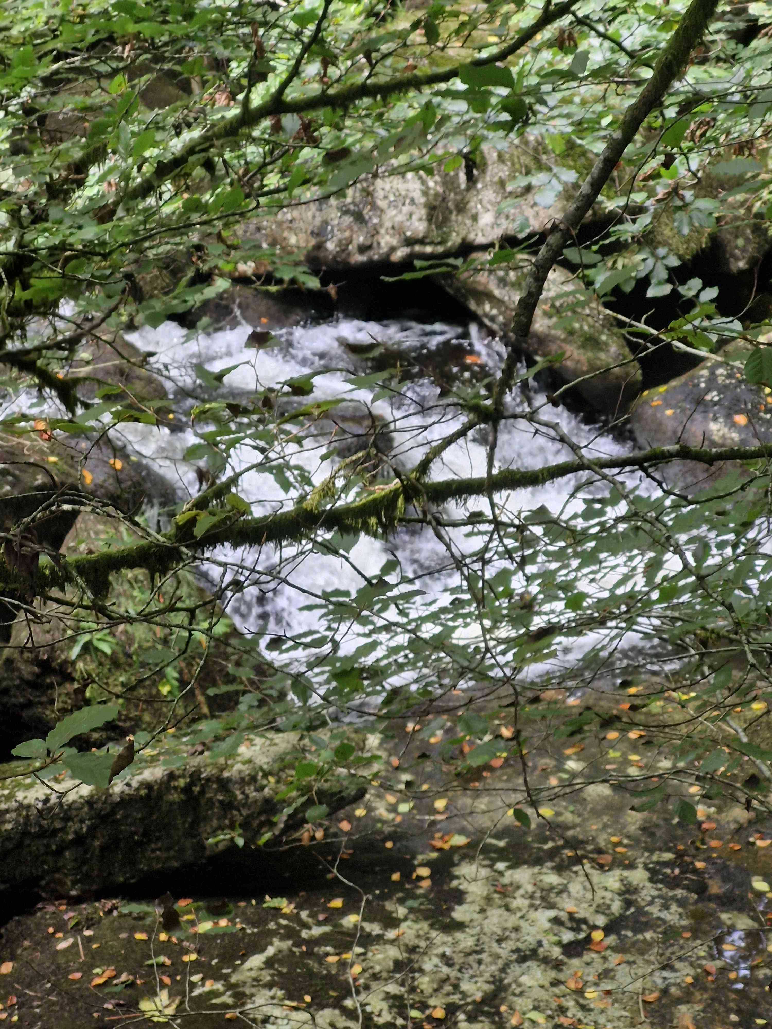 A map preview of the recording Hike to Rough Tor circular from Two Bridges .