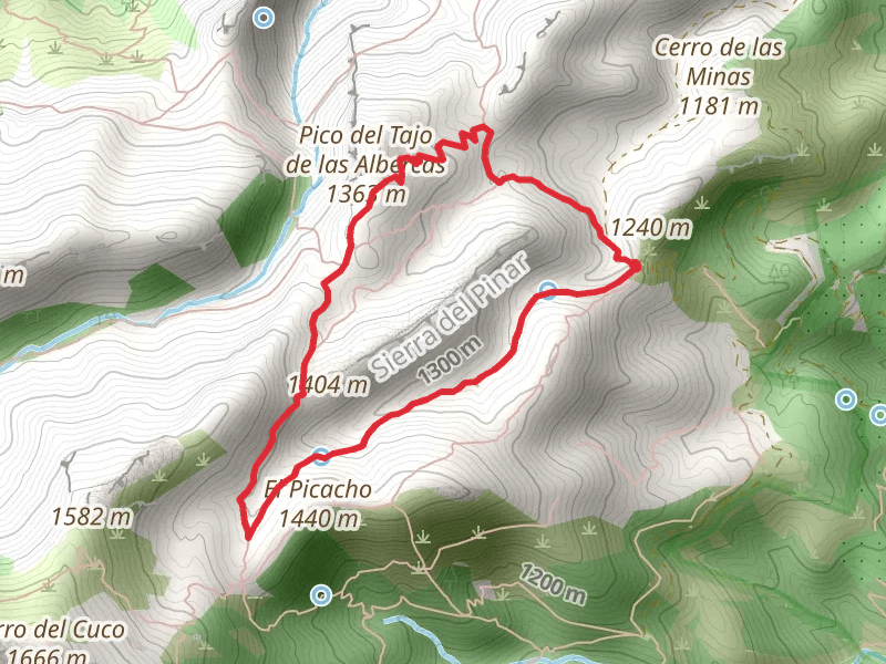 Cueva del Manijero – Circular Por el Pinsapo del Candelabro