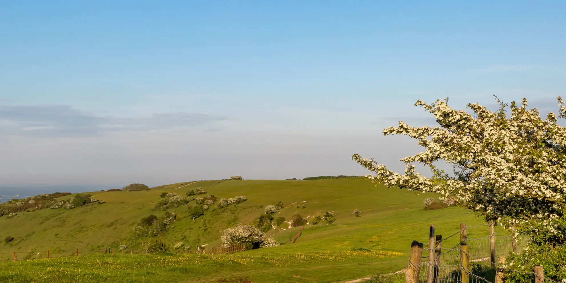 An image depicting the trail Southease - Ditchling Beacon and Lewes and its surrounding area.