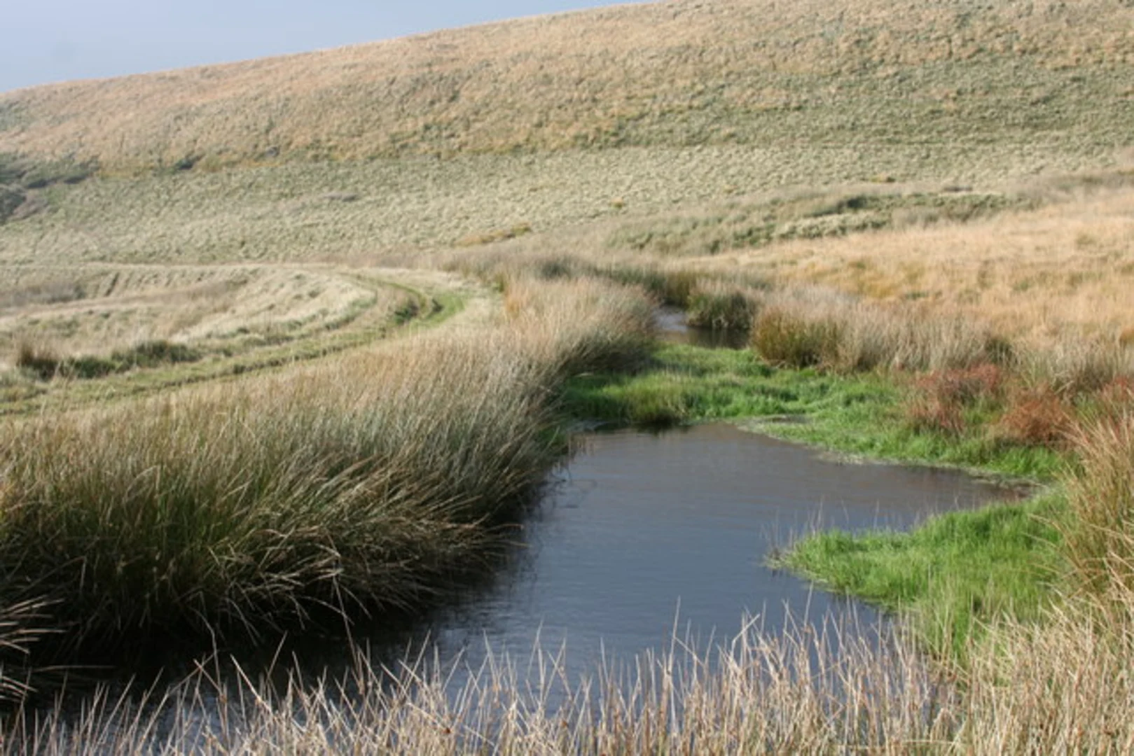 An image depicting the trail Cant Clough Reservoir, Hurstwood Reservoir and Hindle Banks and its surrounding area.