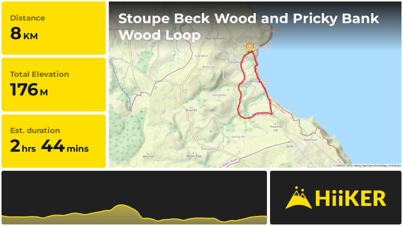 Stoupe Beck Wood and Pricky Bank Wood Loop | North Yorkshire | England