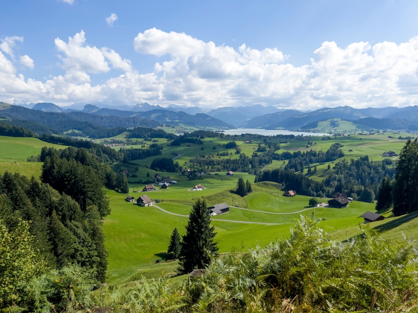 An image depicting the trail Bauernlehrpfad rund um den Etzel and its surrounding area.