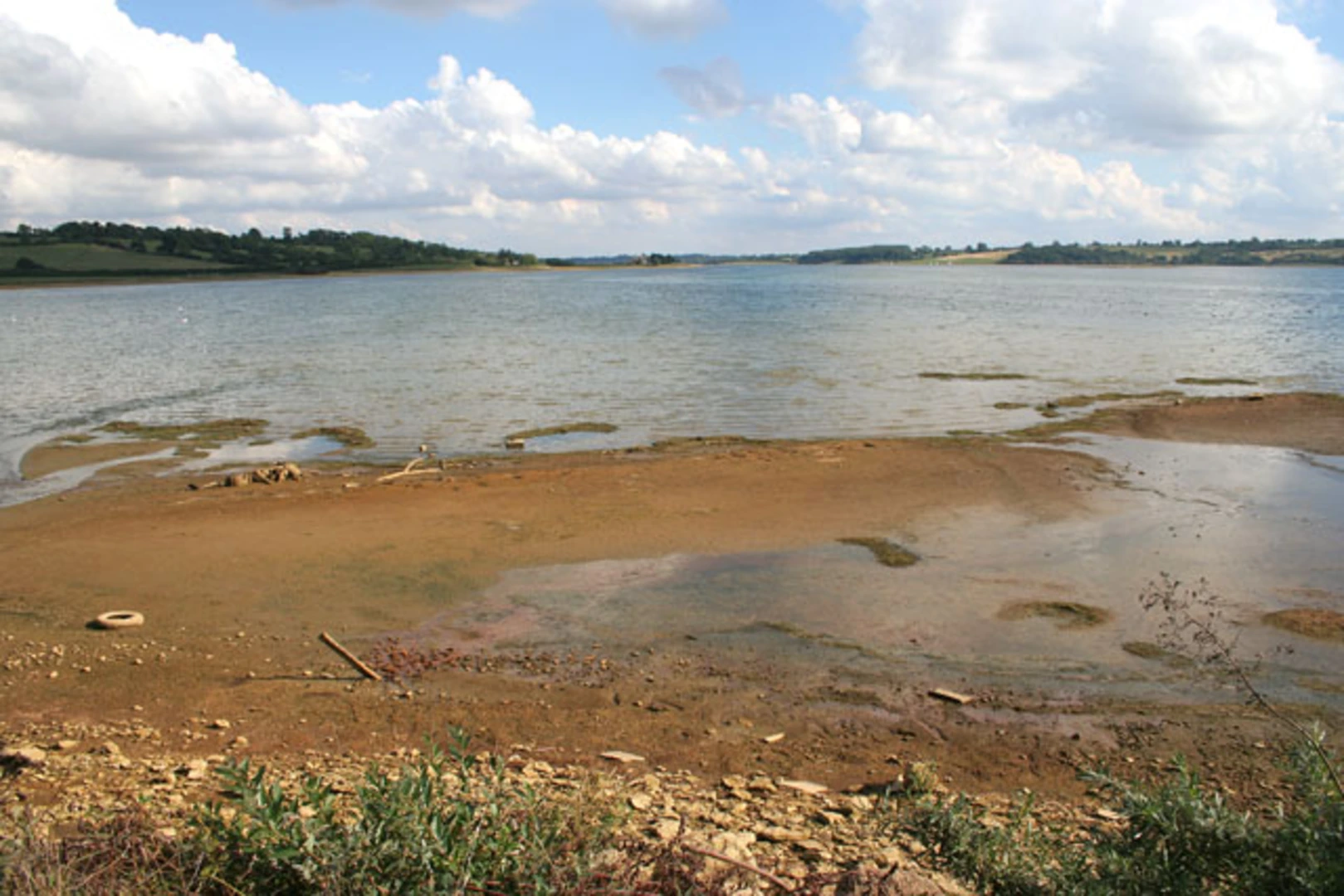 An image depicting the trail Lapwing Wood and Lake Loop and its surrounding area.
