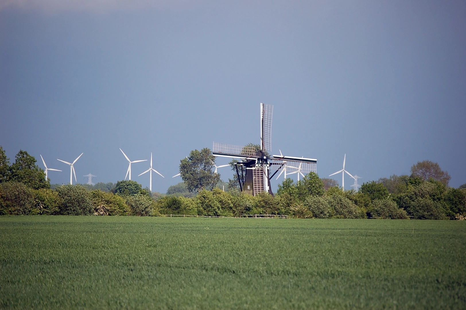 An image depicting the trail Schouwersweel and Hof Notendijk Loop and its surrounding area.