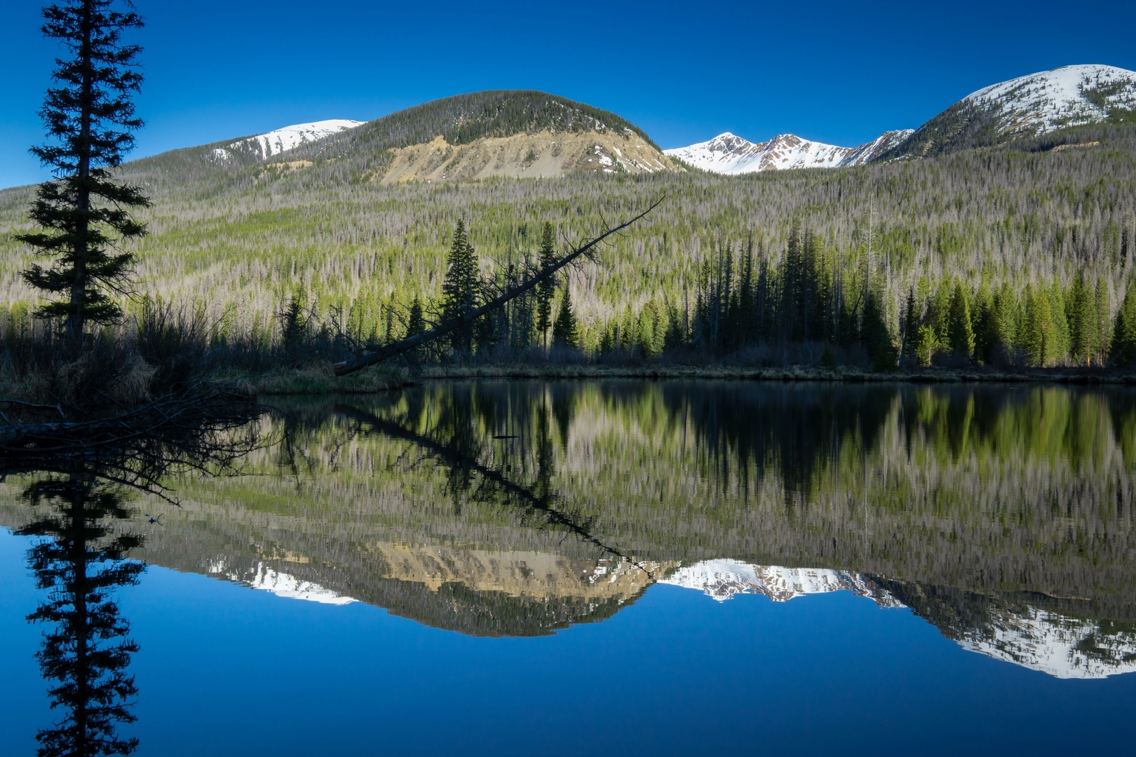 An image depicting the trail Rocky Mountain National Park - Continental Divide Loop and its surrounding area.