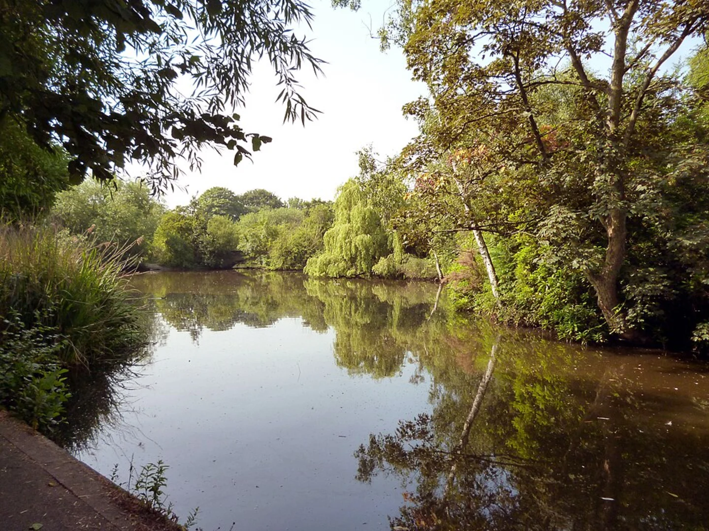 An image depicting the trail Balham to Putney Heath Walk and its surrounding area.