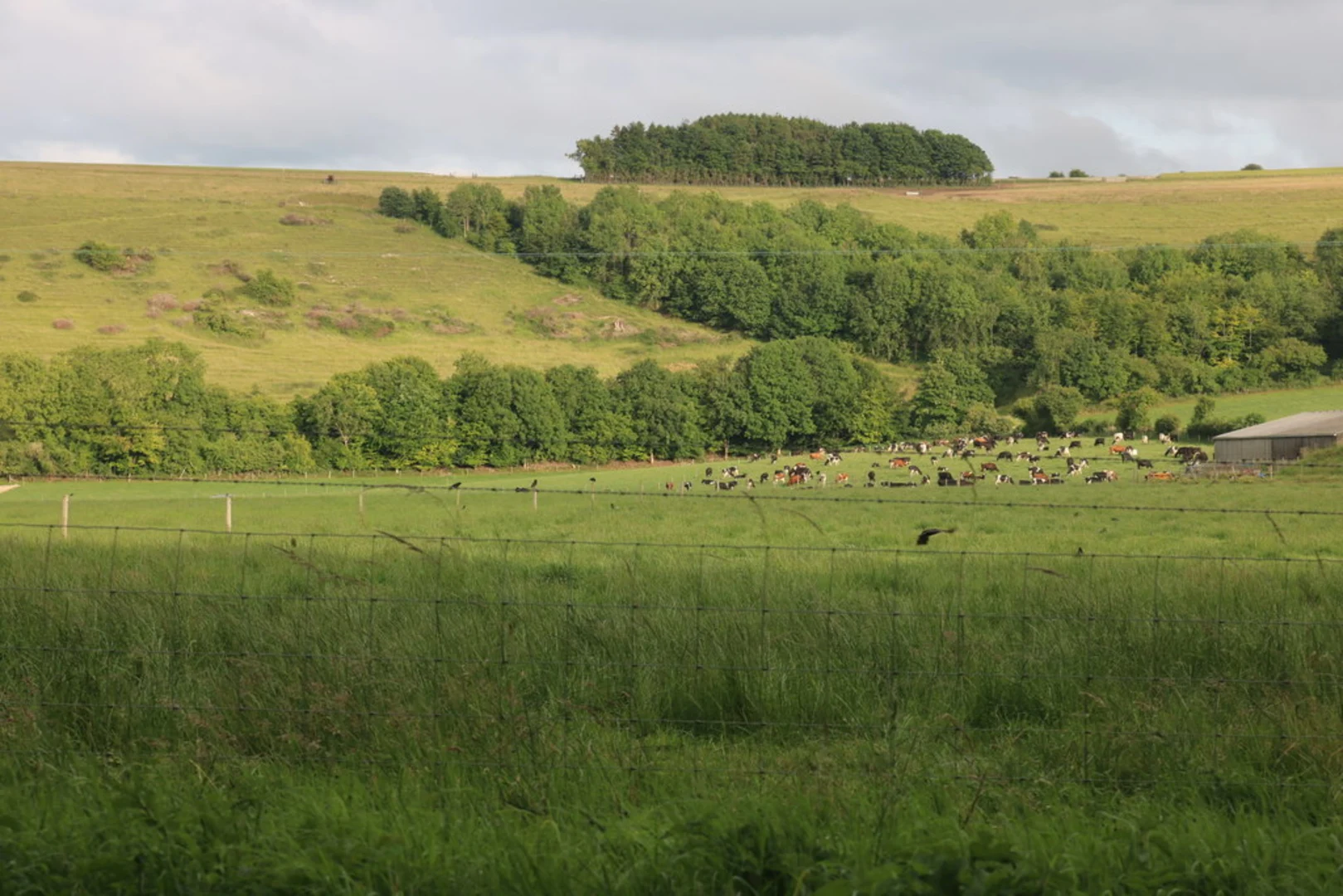 An image depicting the trail White Sheet Hill via Mid Wilts Way and its surrounding area.