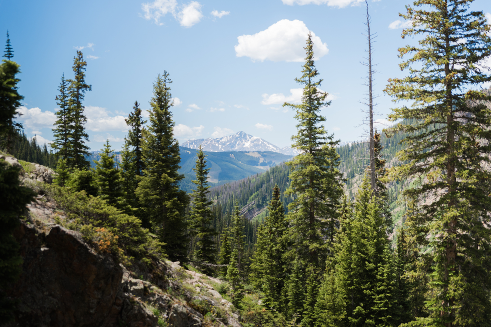 An image depicting the trail Mount of the Holy Cross via Fall Creek Trail and its surrounding area.