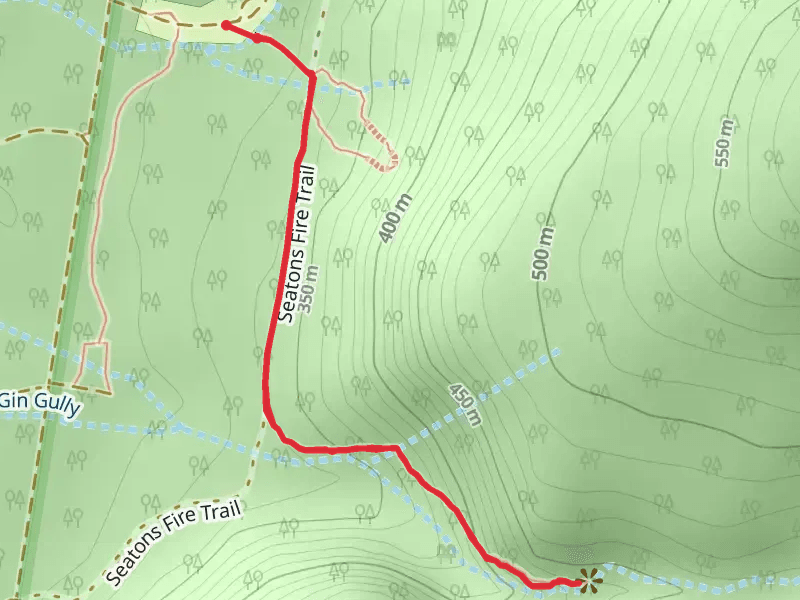 Bertha's Gully Track