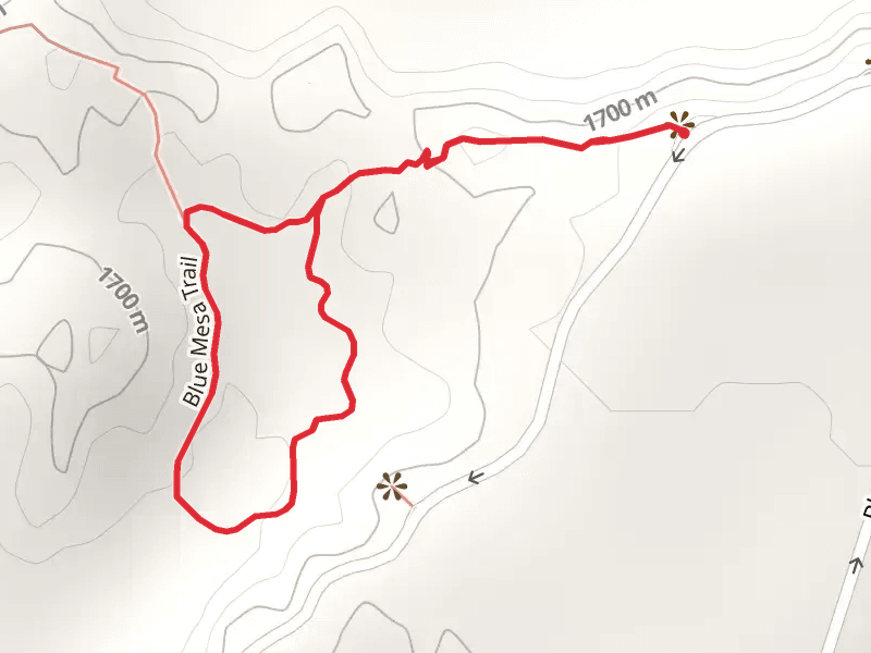 Blue Mesa Loop Trail