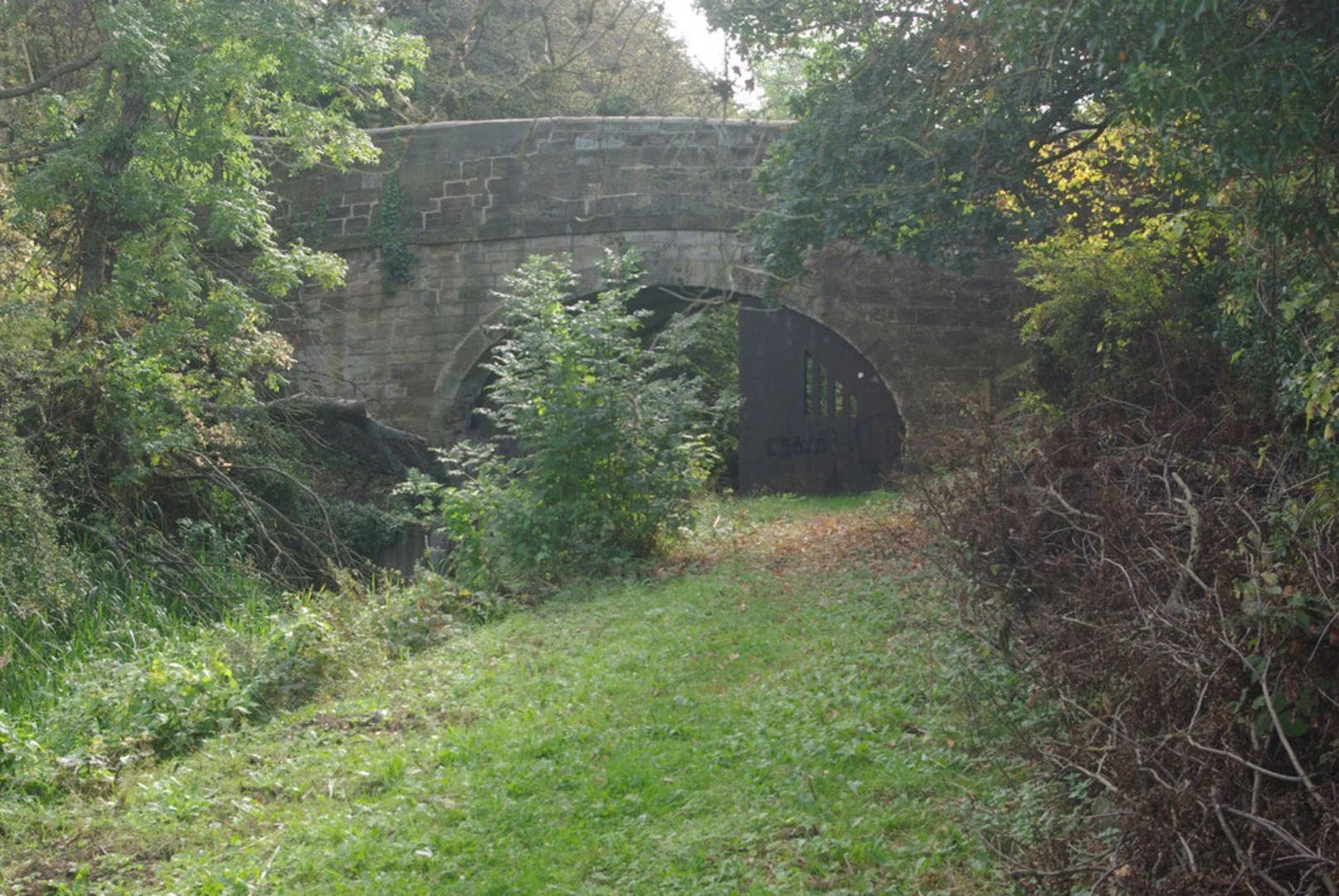 An image depicting the trail Strelley, Trowell and Cossall Loop and its surrounding area.