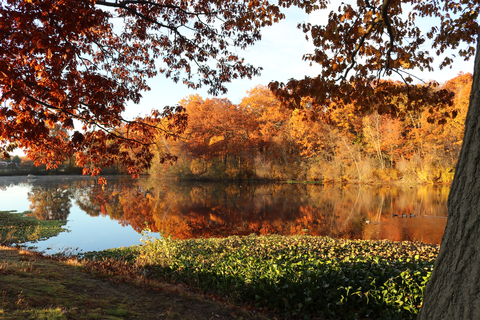 Robert Frost Trail