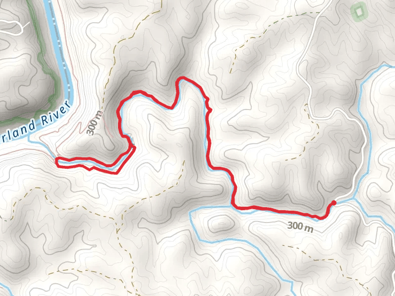 Bark Camp Trail