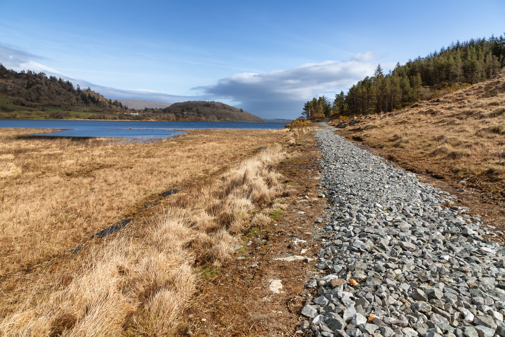 An image depicting the trail Western Way - Galway and its surrounding area.