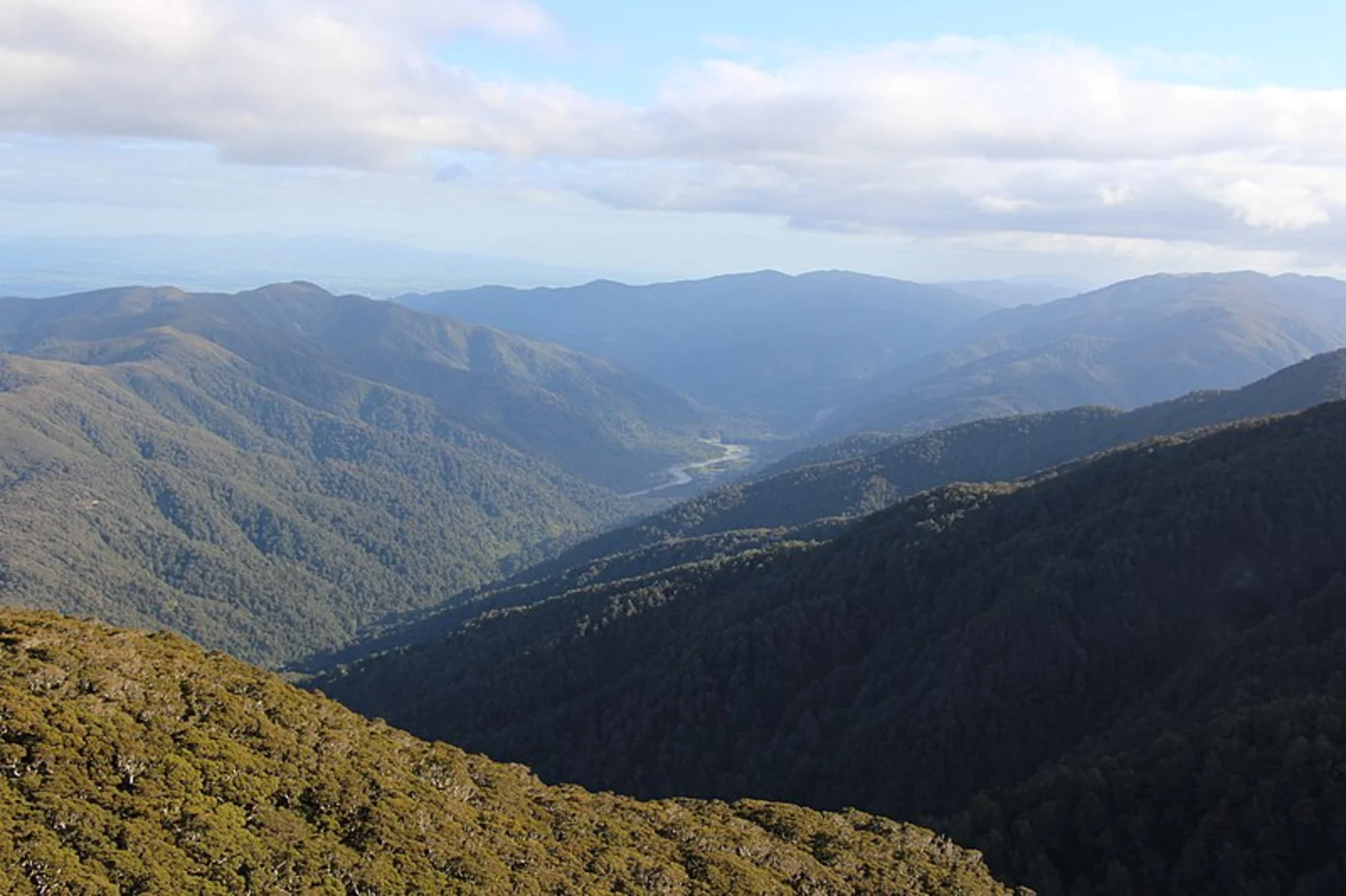 An image depicting the trail Holdsworth - Kaitoke Track and its surrounding area.