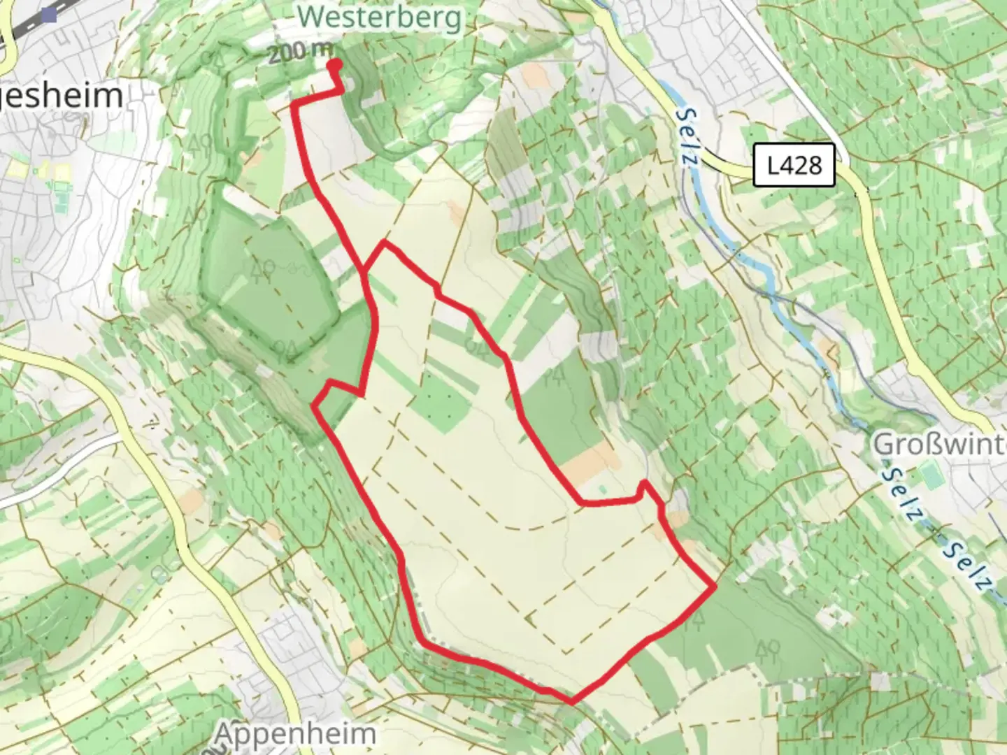An image depicting the trail Hochwald Loop via Schloss Westerhaus and its surrounding area.