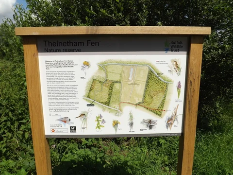 Thelnetham Wood Loop