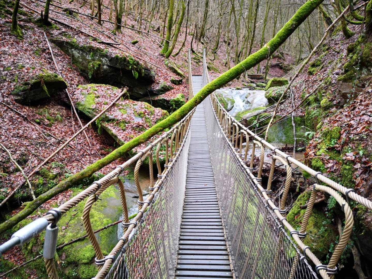 An image depicting the trail Eifelsteig and its surrounding area.
