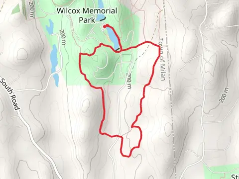 Red Loop
