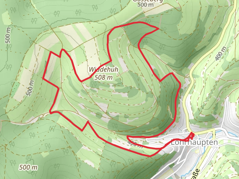 Widdehuh via Spessartspuren Loop