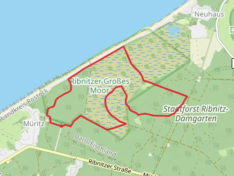 Ribnitzer Großes Moor Loop
