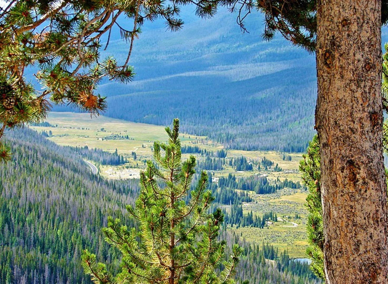 An image depicting the trail Colorado River and Red Mountain Trail and its surrounding area.