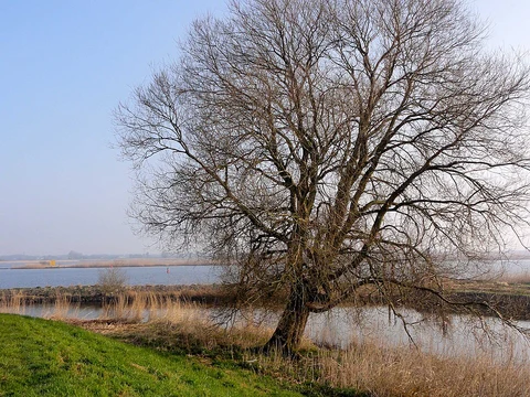 Zwembed to Ramspol via Zwarte Meer