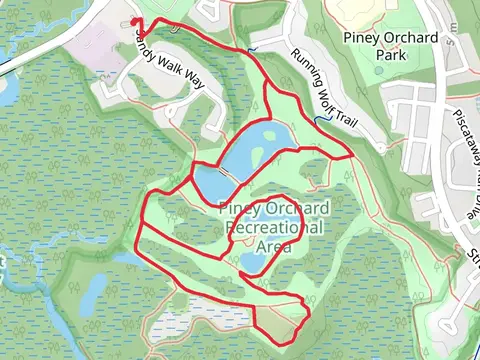 Duck Cove Pond, Fox Den and Piney Path Loop