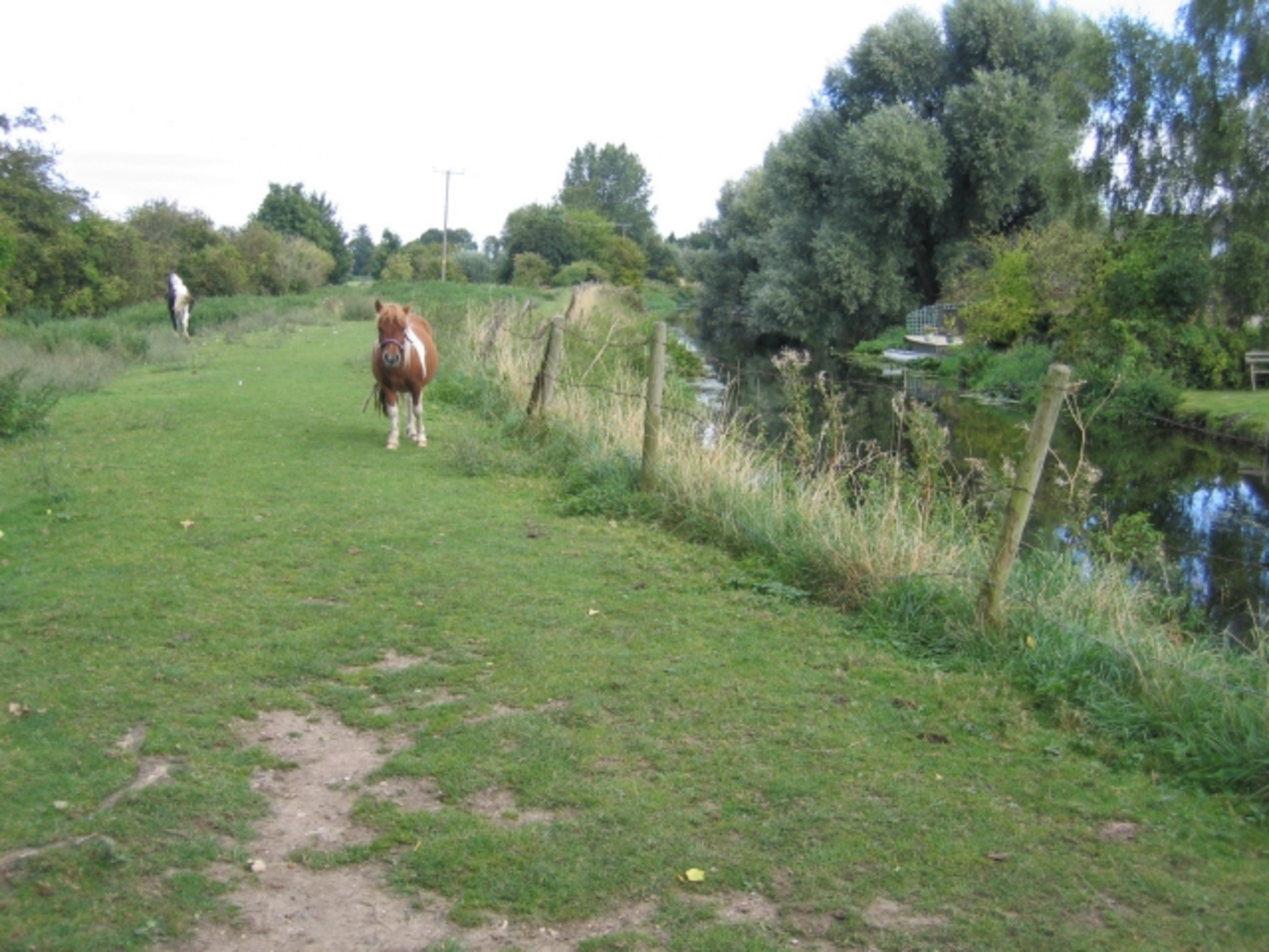 An image depicting the trail Langford Walk and its surrounding area.