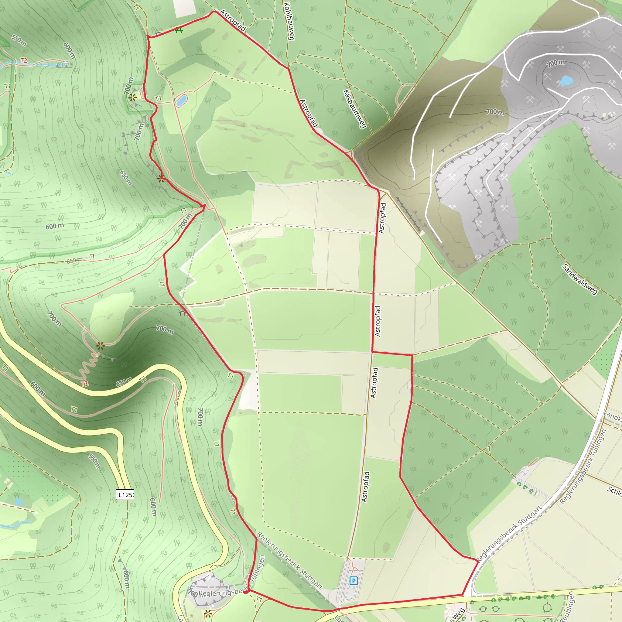 Hochholz, Bamberg Hohle and Bauerloch Loop mobile static map