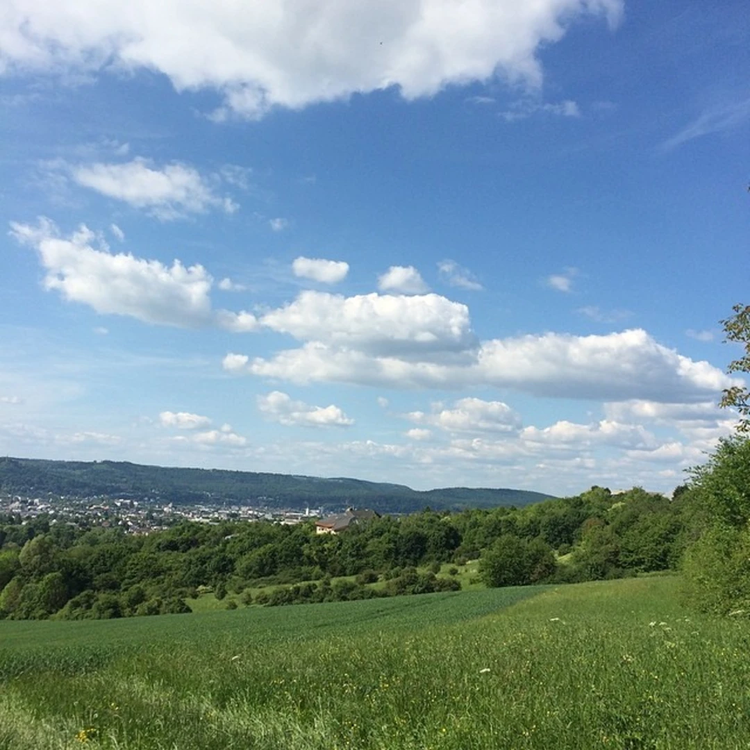 An image depicting the trail Mattheiser Schießstand Loop and its surrounding area.