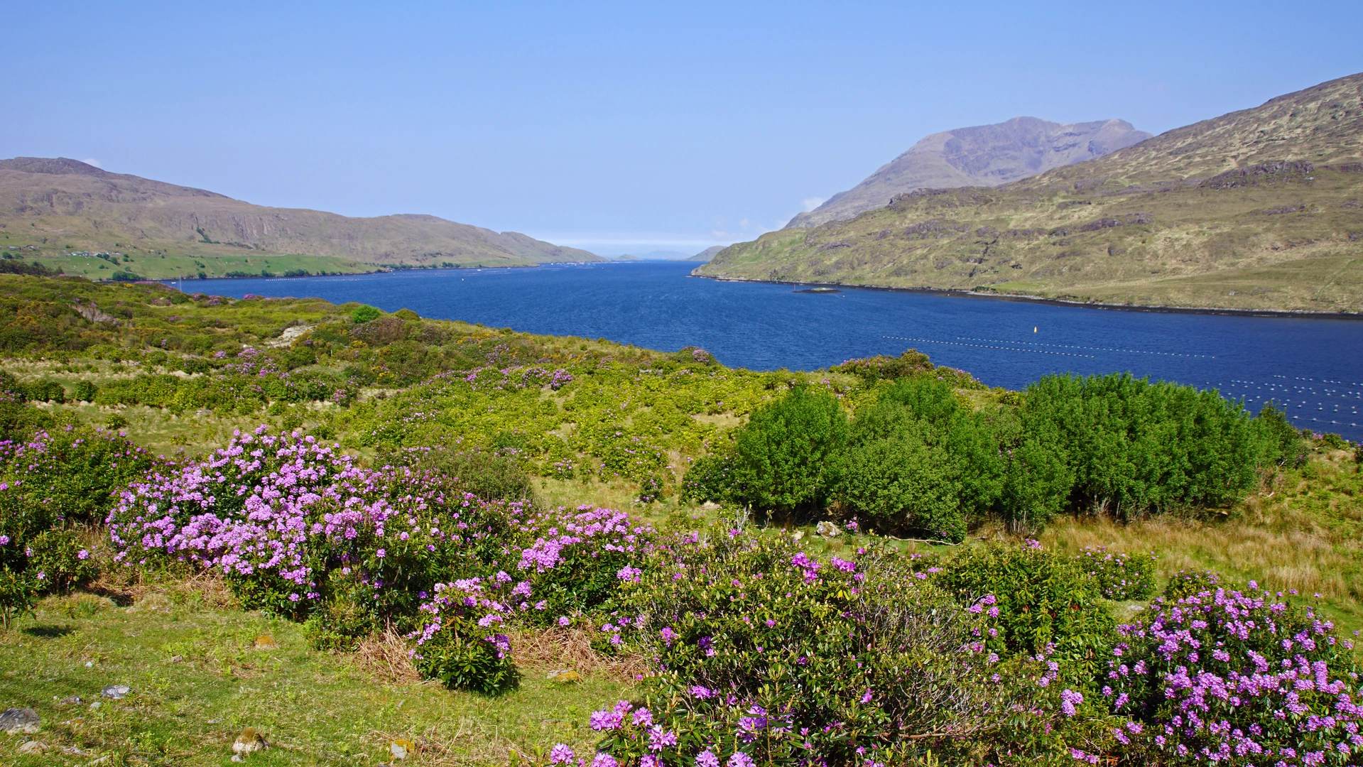 An image depicting the trail Killary Harbour - Fjord Famine Walk and its surrounding area.