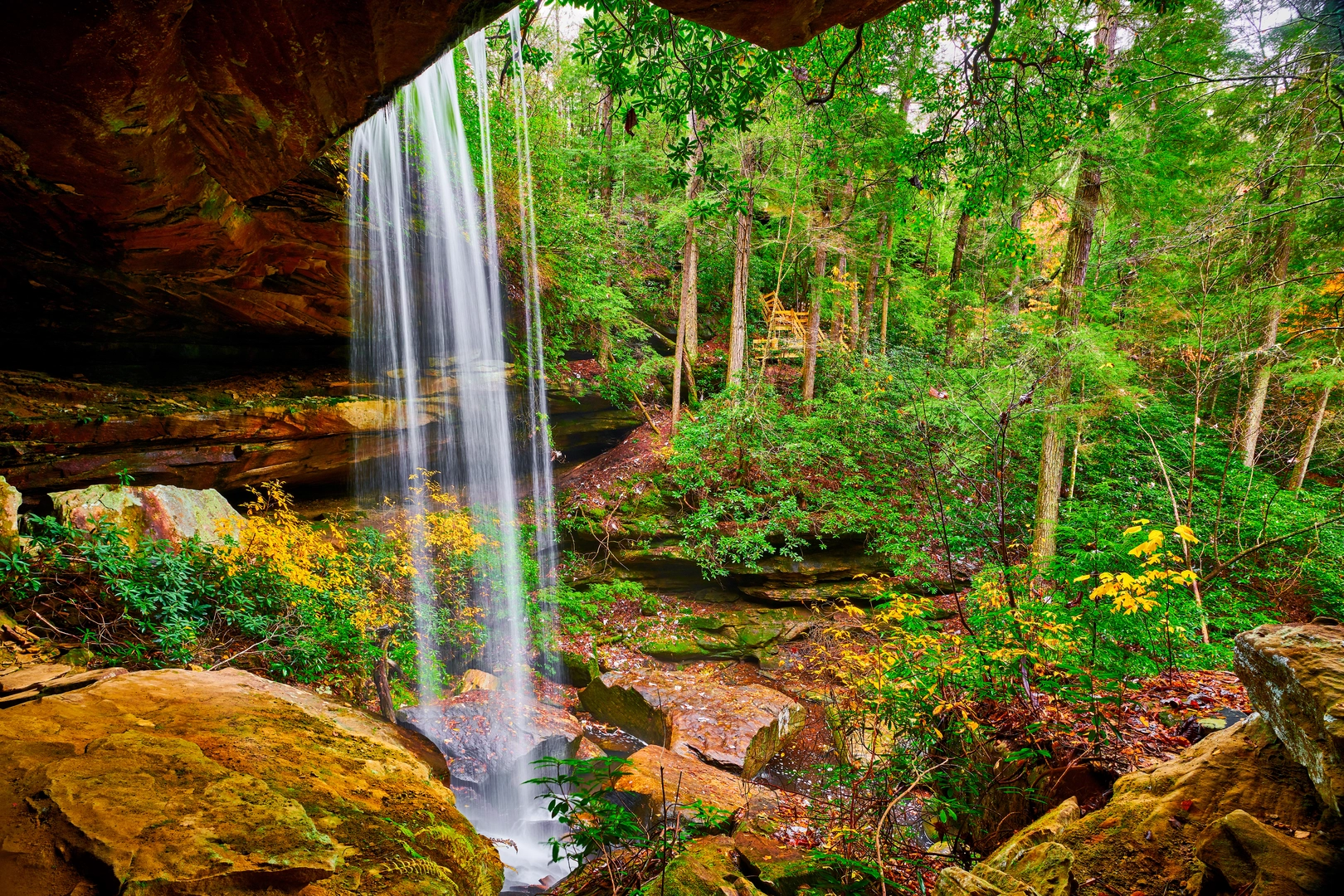 An image depicting the trail Sheltowee Trace Trail and its surrounding area.