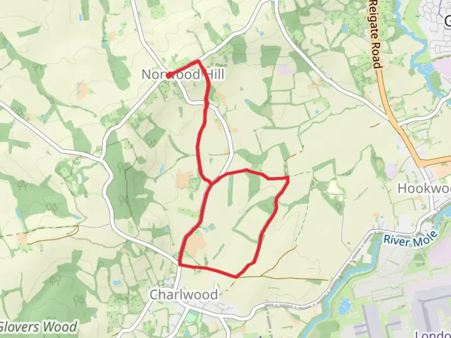 Norwood Hill and Telvet Copse Loop | Surrey | England