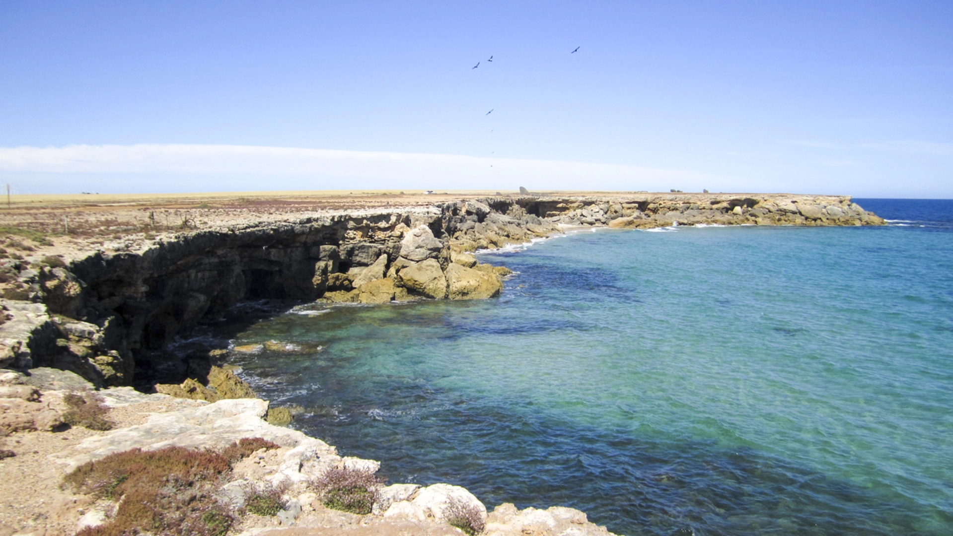 An image depicting the trail The Mosaic Trail - Edithburgh to Sultana Point and its surrounding area.