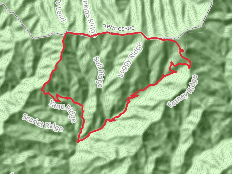 Mt Buckley, Welch Ridge and Jonas Creek Loop Trail