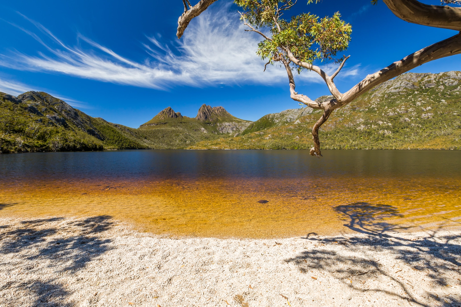 An image depicting the trail Dove Lake Circuit and its surrounding area.