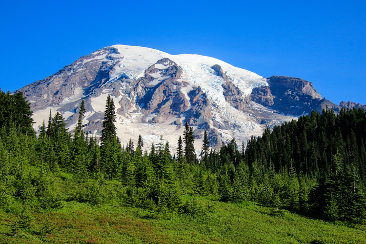 Rainier View Trail