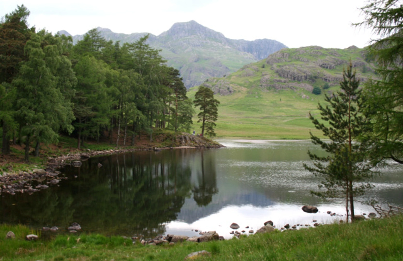 An image depicting the trail Lingmoor Fell Loop from Blea Tarn and its surrounding area.